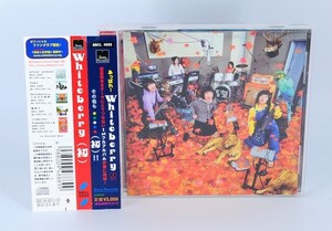 ホワイトベリー / (初)　帯付き　Whiteberry　夏祭り【良品/CD】 #1567