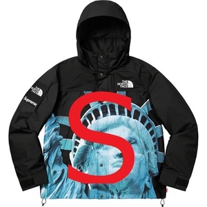 Supreme 19AW/FW The North Face Statue of Liberty Mountain Jacket Black S 黒 ブラック ノースフェイス マウンテン ジャケット