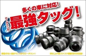 [ESPELIR]GK5 フィット(2WD/RS)スーパーダウンサス+バンプラバー