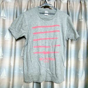 くるり「京都音楽博覧会2013リボンTシャツ」おまけ付 グレー／ピンク Lサイズ 線 ライン ビニールバッグ