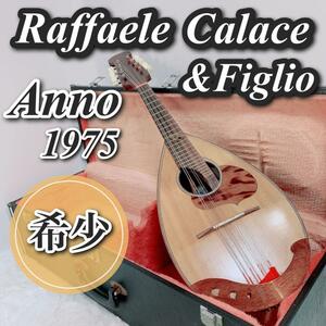 マンドリン ラファエレ カラーチェ figlio anno 1975 no.24 raffaele calace ハードケース付き 弦楽器