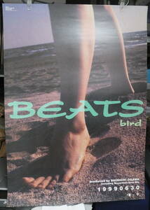 bird / BEATS /ポスター!! 