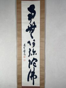 【真作】臨済宗の僧 井沢寛州（泥龍屈） 六字名号 南無阿弥陀仏 共箱二重箱