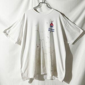 ≪雰囲気抜群!!≫ SHERWIN WILLIAMS シャーウィン・ウィリアムズ ペンキ アート Tシャツ 白 00s y2k XL / ヴィンテージ OLD