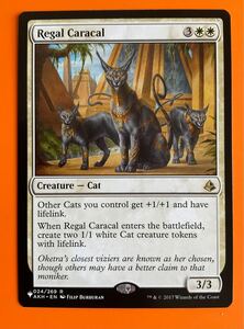 [AG-MTG] 《威厳あるカラカル/Regal Caracal (SLD構築済み)[PWシンボル付き再版] 白R 英語　2枚迄