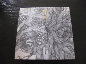 CD DVD付 輪郭 DIR EN GLEY