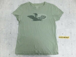 L.L.Bean エルエルビーン レディース 鳥プリント Tシャツ カーキ M