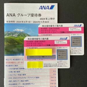 ANA株主優待券2枚セット　2025.5.31まで