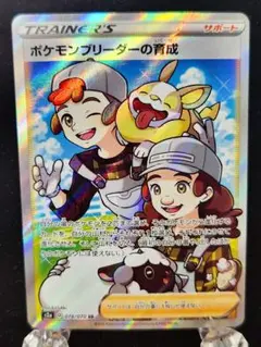 ポケモンカード　ポケモンブリーダーの育成 SR S2a 爆炎ウォーカー