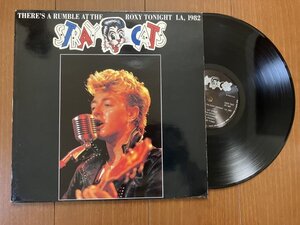 状態「A」★イタリア版 82年LIVE盤 ストレイキャッツ STRAYCATS ブライアンセッツァー BRIAN SETZER ネオロカビリー ネオロカ レコード LP