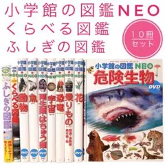 小学館の図鑑NEO くらべる図鑑 ふしぎの図鑑 危険生物 恐竜 動物 両生類