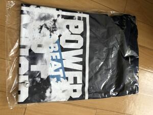 布袋寅泰グッズＴシャツPOWER