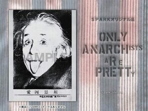 【PUNKS-パンクス】☆アナーキーシャツ用オリジナルパッチ アインシュタイン-EINSTEIN(1)☆ 送料税込