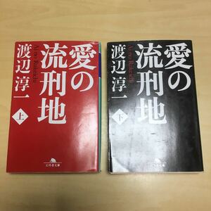 愛の流刑地 上下巻セット 渡辺淳一