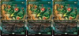 ボーダーレス▼緑レア▼MTG▼ファウンデーションズ▼苔生まれのハイドラ3枚組