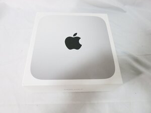 【美品】Apple Mac mini (M1・2020) アップル パソコン Z12P000JD 16GB 1TB A2348 中古 通電確認済　初期化済み