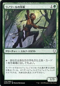 MTG マジック：ザ・ギャザリング ラノワールの斥候 コモン/フォイル ドミナリア DOM-F170