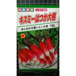 ３袋セット キスミー はつか ミニ ２０日 大根 種 郵便は送料無料