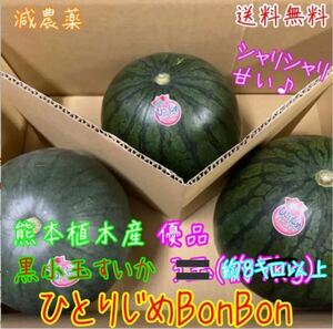 熊本植木産 黒小玉スイカ ひとりじめBonBon 8キロ以上(3玉～7玉入り)※数指定不可