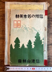 HH-8198■送料込■信州の名木美林 信濃山林会 国賓分布図 付き 1928年 諏訪社の森 花柏ノ林相 ●本と地図の自主製本となっています/くFUら