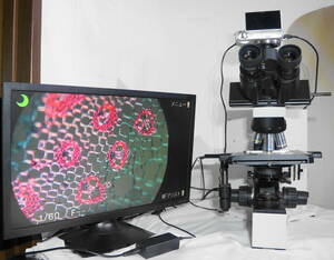 オリンパス BX40 最高級顕微鏡　中古　対物レンズ　4本付属　日本語取説付き　領収書発行いたします 