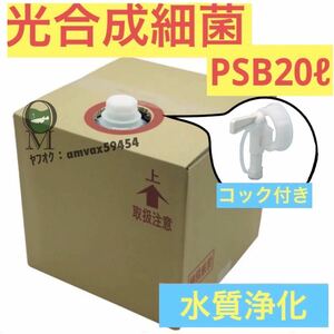 専用ダンボール　沖ちゃんメダカ【送料無料】濃縮　光合成細菌PSB バクテリア　メダカ　金魚　グッピー　　稚魚　針子　20Lバロンボックス