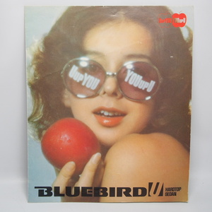 即決/日産.ブルーバード.BLUEBIRD.4代目.610型.1800SSS.1600GL.1600STD他.カタログ