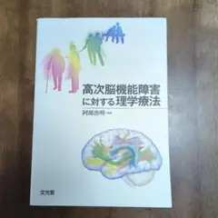 高次脳機能障害に対する理学療法