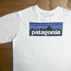 Patagonia バックロゴ 胸ワンポイントロゴ Tシャツ 半袖 パタゴニア