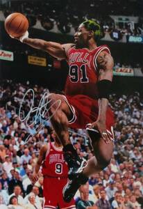 ☆デニス・ロッドマン　直筆サイン写真/フォト　NBA　バスケットボール選手　シカゴ・ブルズ　リバウンド王×7 オールスター×2