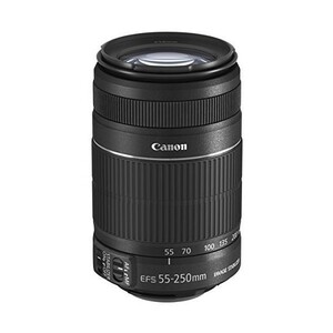 中古 １年保証 美品 Canon EF-S 55-250mm F4-5.6 IS II