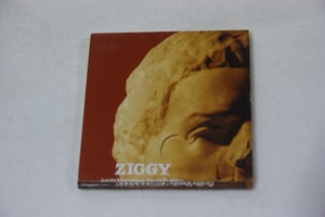 Guilty Vanity ZIGGY ８㎝CD