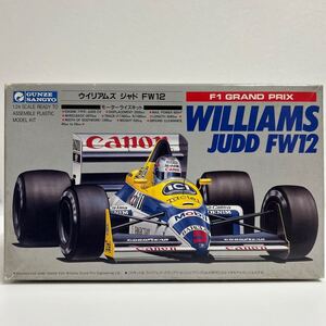 未組立 グンゼ産業 1/24 ウィリアムズ ジャド FW12 F1 GP GUNZE WILLIAMS JUDD 当時物 プラモデル モーターライズキット ミニカー