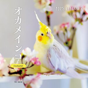 2025年カレンダー オカメインコ (誠文堂新光社カレンダー)