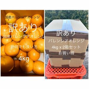 訳ありLL-L 2箱セット 4kg 国産バレンシアオレンジ/ 箱何でも良い方用