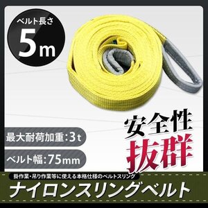 ナイロンスリングベルト 3t 5m 幅75mm 荷重3000kg ベルトスリング 玉掛け 吊上げ ロープ 牽引 運搬 移動 安全性抜群!!