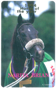 ナリタブライアンテレカ　1994 Horse of the year　未使用品　フリー110-165743