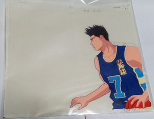 セル画 仙道彰 陵南 約 24ｘ27cm　スラムダンク SLAMDUNK　東映動画　井上雄彦