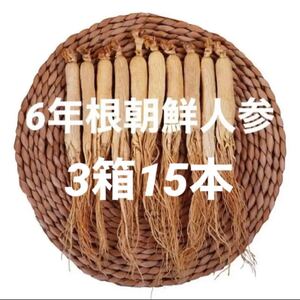 3箱♪6年根乾燥朝鮮人参　15本約180g♪ 野生環境黒土露地栽培　高麗人参