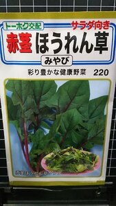 ３袋セット 赤茎 ほうれん草 みやび ホウレンソウ 種 郵便は送料無料