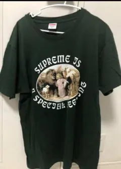 Supreme 16fw special feeling tee