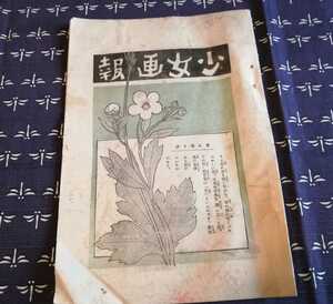 古雑誌　少女画報　大正期頃　高島平三郎　雨宮美津子　谷岡てい子　和田古江　石川千代松