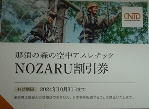 即日発送 在庫6枚有☆日本駐車場開発 株主優待券 NOZARU割引券 那須の森の空中アスレチック ノザル KOZARU ポイント消化 PayPay 最新 即決