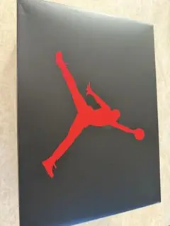 Air Jordan 3 ブラック