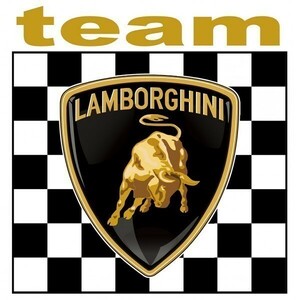 海外j 送料無料 ランボルギーニ ガヤルド チーム LAMBORGHINI TEAM チェッカー 75mm ステッカー