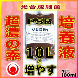 100ml→PSB１０Lに ★自分でふやしてPSBをたっぷり使う！濃縮光合成細菌の培養餌料、培基（検索用：針子エサ,20L,18L,素,培養液,増やす