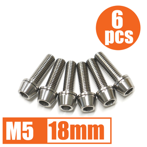 64チタン合金ボルト M5×18mm P0.8 6本セット ワッシャー付き テーパーキャップ ゆうパケット対応 焼き色なし Ti-6Al-4V☆