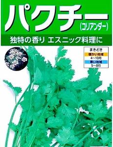 パクチー コリアンダー 種【30粒】