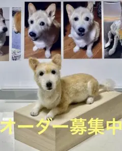 オーダー募集中❣️羊毛フェルト　オーダー犬