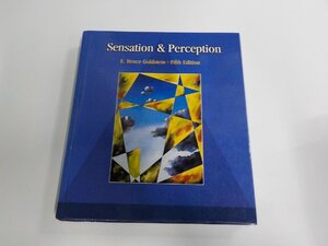 K5892◆Sensation and Perception E. Bruce Goldstein シミ・汚れ・書込み有▼